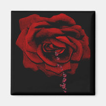 Bleeding Rose Magnets