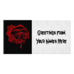 Bleeding Rose photo cards