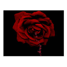Bleeding Rose Post Cards