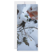 Bleeding Roses Custom Rack Cards