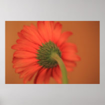 Blending Print