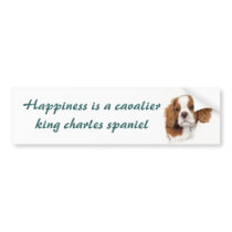 Blenhiem cavalier pup Bumper sticker
