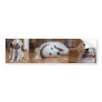 Bless the USA, America Bumper Stickers