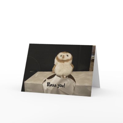 Bless You! Cards by codfishlady