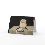 Bless You! Cards