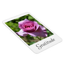Blessings Rose Magnet