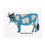 Blind Willie Bovine Postcard