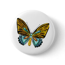 Bling Bling Butterfly