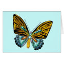 Bling Bling Butterfly cards