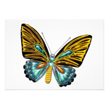 Bling Bling Butterfly Personalized Announcements