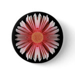 Blink Button.
