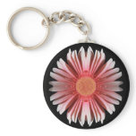 blink key chain keychains
