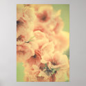 Bliss IN The Spring posters