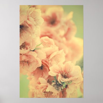 Bliss IN The Spring Posters by starlingphotos