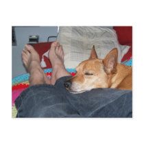 "Bliss." Post Card