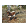 Bliss Postcard-customise