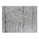 Blizzard in February 2010 Post Cards