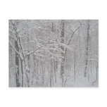 Blizzard in February 2010 Post Cards
