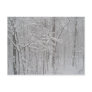 Blizzard in February 2010 Post Cards