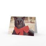 Blk Leopard holiday bow Greeting Card