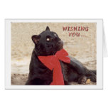 Blk Leopard holiday bow Cards