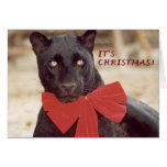 Blk Leopard holiday bow Greeting Card