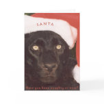 Blk Leopard Santa cards