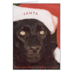 Blk Leopard Santa Greeting Cards