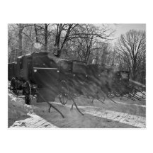 Blk & White-Buggies through rays of sun Post Card