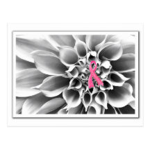 Blk & Wht/Pink Ribbon Postcard