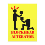 Blockhead Alternator