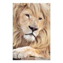 Blonde Beauty Photo Print