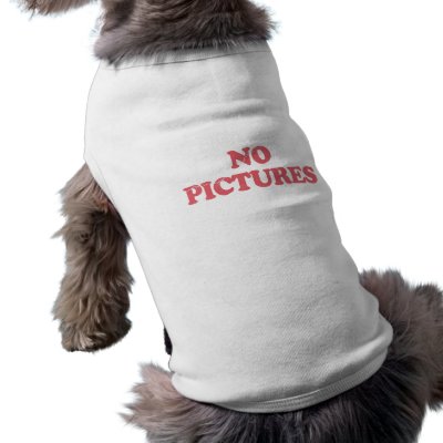 Blondie No Pictures Doggie Tee Shirt by RockinTees