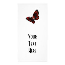 Blood Red & Black Winged Butterfly Flying