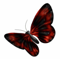 Blood Red & Black Winged Butterfly Flying