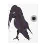 BLOOD SEEKER RAVEN POST CARD