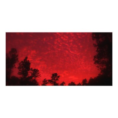 Blood Sky Picture Card by RayeeDaze