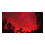 Blood Sky photo cards