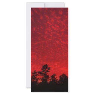 Blood Sky Rack Card Design by RayeeDaze