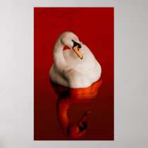 Blood Swan posters