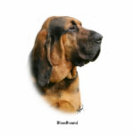 Bloodhound 9Y404D-124 Photo Sculpture