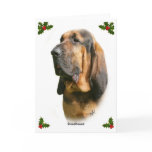 Bloodhound 9Y404D-135 cards