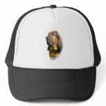 Bloodhound 9Y404D-135 Hats