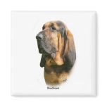 Bloodhound 9Y404D-135 Refrigerator Magnet