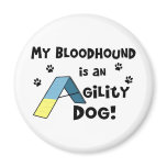 Bloodhound Agility Dog magnets