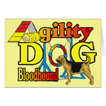 Bloodhound Agility Gifts Greeting Cards