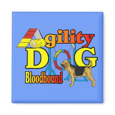 Bloodhound Agility Gifts Magnet by DogsByDezign