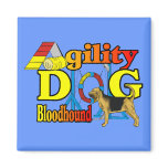Bloodhound Agility Gifts magnets