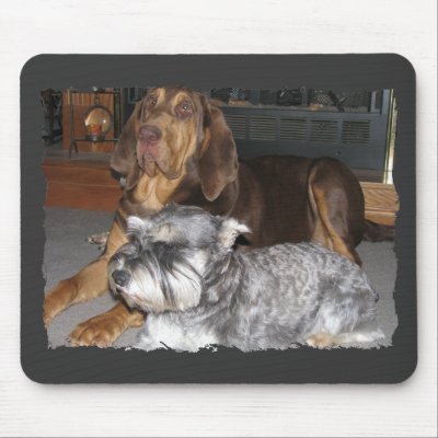 Bloodhound and Miniature schnauzer Mousepad by LuraDee