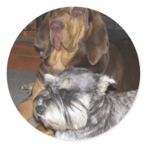Bloodhound and Miniature Schnauzer Stickers